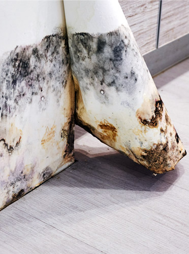 Vochtbestrijding offertes